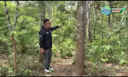 ล่าเด็ดขาด! ผกก.สภ.แม่จัน ตั้งรางวัลนำจับ 50,000 บาท เค้นปมฆ่าอุกฉกรรจ์ “ป้าบัวเขียว” ลั่นคนร้ายไม่มอบตัวเจอใช้มาตรการขั้นเด็ดขาด!