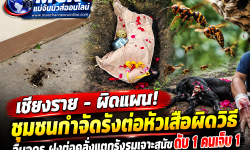 เชียงราย – ผิดแผน! ชุมชนกำจัดรังต่อหัวเสือผิดวิธี ลืมอุดรู ฝูงต่อคลั่งแตกรังรุมเจาะสุนัขดับ 1 คนเจ็บ 1