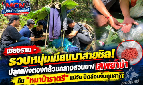 เชียงราย – รวบหนุ่มเมียนมาสายชิล! ปลูกเพิงตองกล้วยกลางสวนยาง เสพยาบ้า ทีม “หมาป่าราตรี” แม่จัน ปิดล้อมจับกุมคาที่